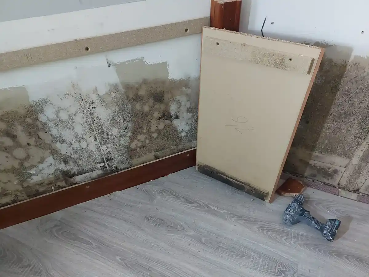 Bautrocknung Augsburg Schimmelprävention